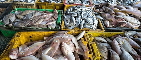 Fishing.jpg