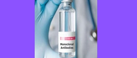 Corona Vaccine: Monoclonal antibody cocktail available in Gujarat from June