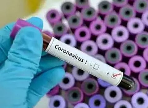 coronavirus4