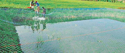 कृषी विज्ञान केंद्राचा मत्स्य पालनासाठी भर