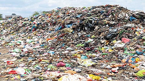 Bayangini project should be shifted somewhere else