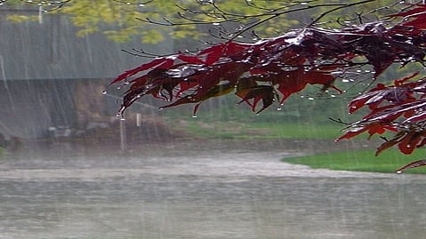 Unseasonal rain night