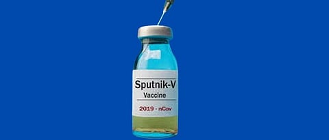 sfutanik 5.jpg