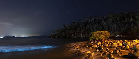 A review of the Corona situation in Goa