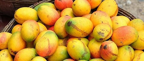 mango.jpg