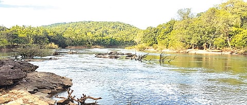 Rajendra Kerkar |Mhadei Issue| Mhadei Water Dispute