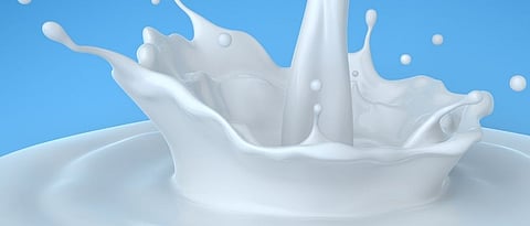 milk