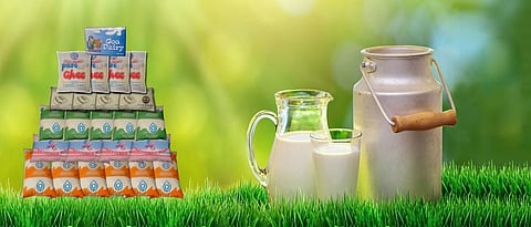 Goa Dairy