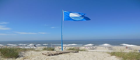 Blue Flag's