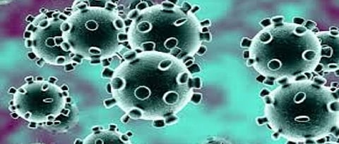 Goa 36 new coronavirus patients die in a day