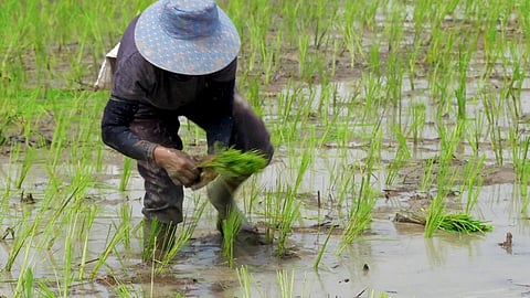 Goa Rain: ०लाख रुपयांचे नुकसान झाल्याचा अंदाज असून या आकड्यांमध्ये वाढ होण्याची शक्यता आहे
