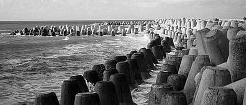 tetraods sea.jpg
