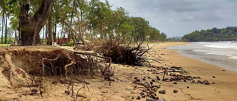 very existence of the Galgibaga coast is in danger government system failed
