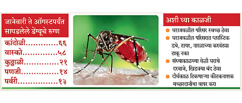 Goa: state rising dengue patients by Yashwant Patil