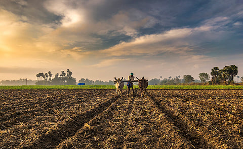 Agriculture utility story