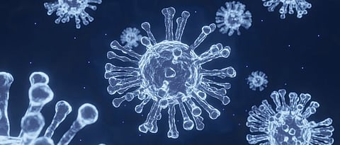 covid virus