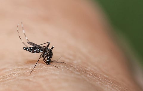 Recent outbreaks of Ebola, MERS coronavirus, Zika and urban yellow fever, signal a resurgence of threat