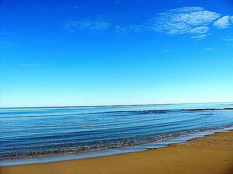 The atlas represents the largest collection of up-to-date information about the economic, social and cultural values of coastal and marine habitats all over the world
Credit:Stephen Edgar/Flickr