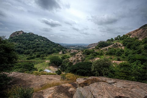Large swathes of forest will be destroyed if the proposed project gets underway Credit: Navaneeth KN / Flicker