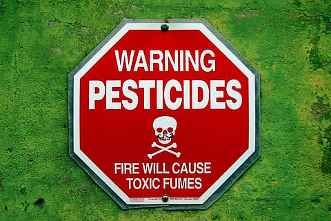 Pesticides are the main sources of EDCs Credit: Flickr
