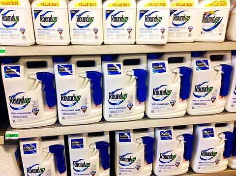 The extension has sparked an outcry among activists and organisations opposed to glyphosate (Photo credit: Mike Mozart, via Flickr, CC BY 2.0)