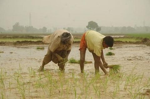 More than a billion people rely on the monsoon for agriculture and economics
Credit: Agnimirh Basu