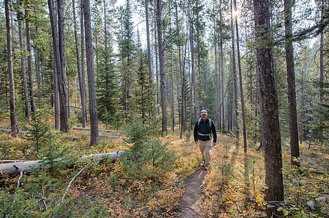 Ecosystems could grow in value if policies are put in place to safeguard them. Credit: Bureau of Land Management/Flicker