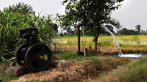 Iirrigation provides water to one-fifth of the world’s cultivated land (Credit: iStock)