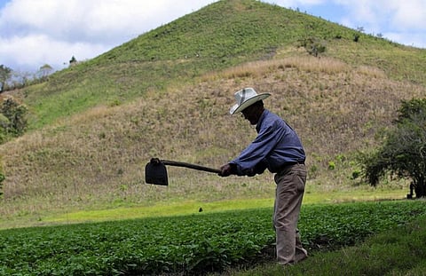 Mutual contingency funds that involve protection and risk transfer are created and managed by associations to support farmers during emergencies
Credit: CIAT
