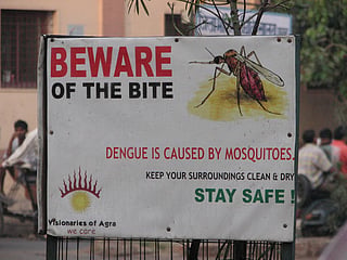 Stung by Aedes