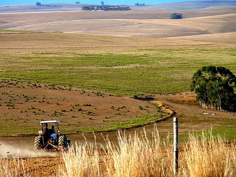 Sustainable agriculture is designed to address problems like environmental pollution from excessive use of fertilisers
Credit: Christopher Griner/Flickr
