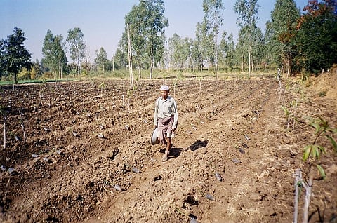 Of a total US $140 billion worth of loss and damage caused by 78 disasters between 2003 and 2013, damage worth $30 billion was sustained by agriculture and its sub sectors in developing countries (Photo: Sandeep Das)