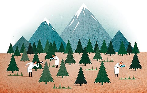 Illustration: Tarique Aziz
