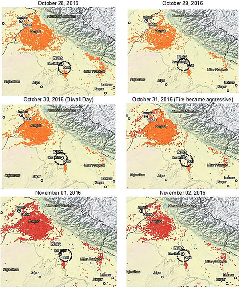 Crop burning in neighbouring states leading to severe smog in the national capital. Source: NASA Fire Mapper