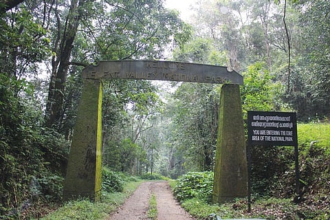 After driving through the buffer zone, one arrives at the gate to the core area. Beyond this lies a forest with an evolutionary age of at least 50 million years (Photo: Jemima Rohekar)