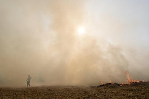 Toxic air hits the crib; especially in India
