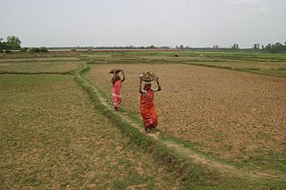 Indian agriculture sector is in desperate need of an overhaul, both in terms of financial support and transaprent institutional mechanisms. Credit: CIDSE