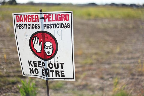 Before using pesticides, it is always better to understand the risks to people and wildlife. Credit: Austin Valley/ Flicker