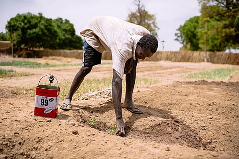 The scale of problem is too overwhelming for locals to sustain their efforts. Credit: CIFOR / Flicker
