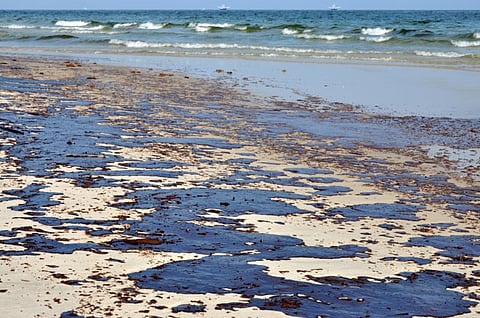 Oil spill will deprive the marine flora of sunlight (Representative Image from iStock)