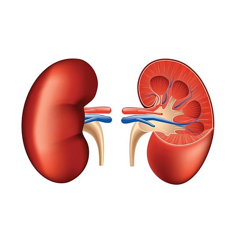 PPIs sold in the market under the common brand names Prevacid, Prilosec, Nexium and Protonix can lead to kidney failure
Credit: iStock