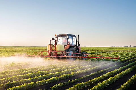 Pesticide application rates have increased over the years, in spite of the known harms associated its excessive and unsafe use (Credit: iStock)