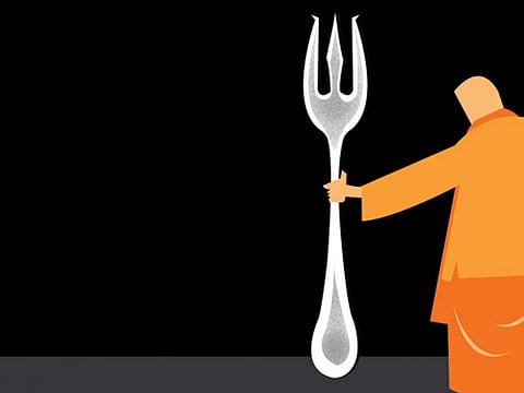 Why I would not advocate vegetarianism