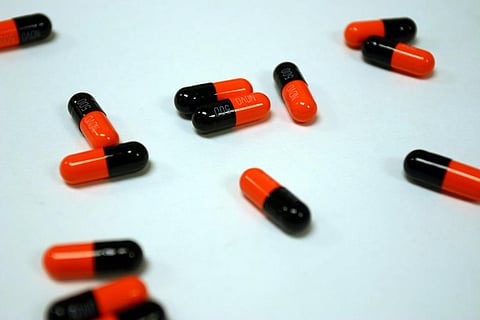 Resistant bacteria in animals can spread to humans in several ways with the consumption of animal products, exposure to raw meat products, and direct contact between animals and humans as the main modes of transfer. Credit: Martin Cathrae/ Flickr