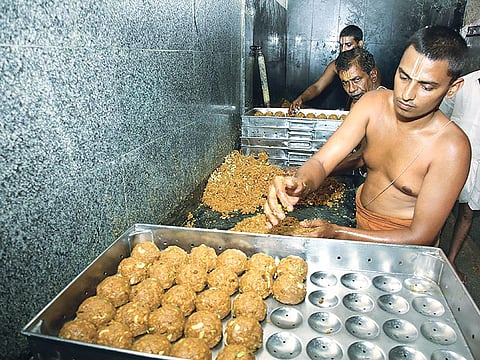आंध्र प्रदेश के तिरुपति मंदिर में प्रसाद बनाने के दौरान स्वच्छता की अनदेखी को लेकर कई लोग पहले भी शिशिकायत कर चुके हैं (जय शेखर / तिरुमाला तिरुपति देवस्थानम)