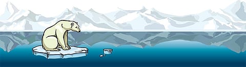 Polarising the polar