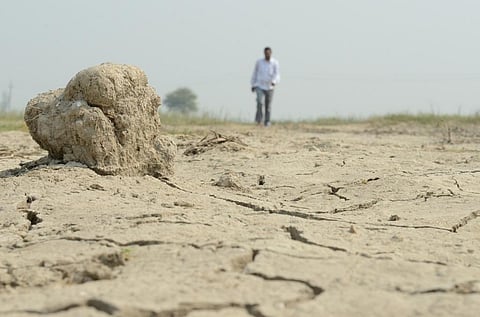 Rain-fed rice yields in India to reduce by six per cent in 2025. Credit: Meeta Ahlawat / CSE
