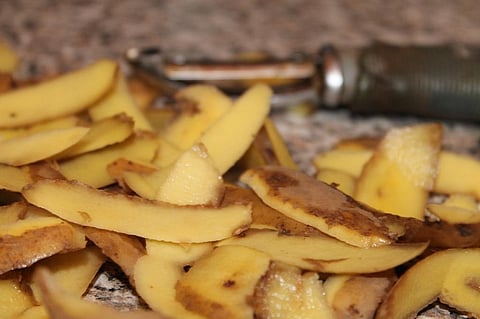 India is the third largest producer of potato in the world after China and Russia. About 12–20 per cent of the total produce goes waste. Credit: Pixabay