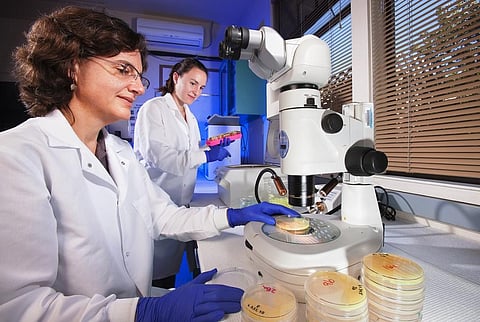 The visiting faculty selected under the scheme would reside in India upto three months in a year. Credit: USDA/ Flickr