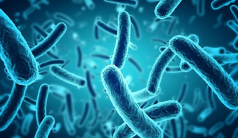 Globally, about 78 million people are affected each year by gonorrhoea (Credit: Thinkstock)